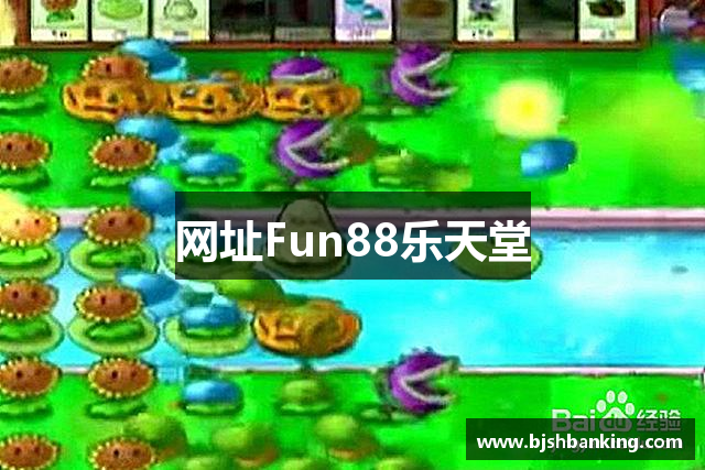 网址Fun88乐天堂